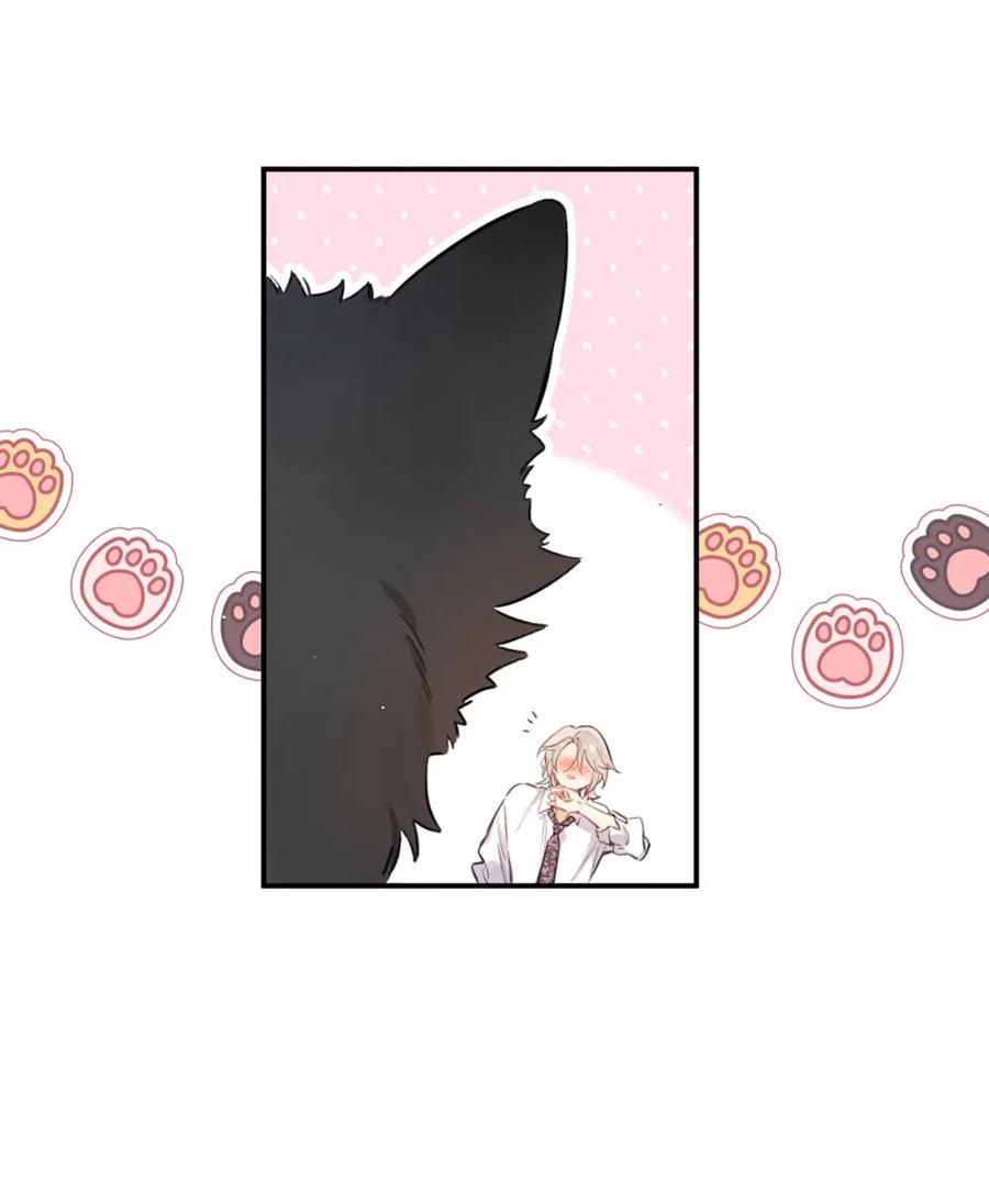 《狼君想对我负责》001 真是让人恶心的发情。 第33页
