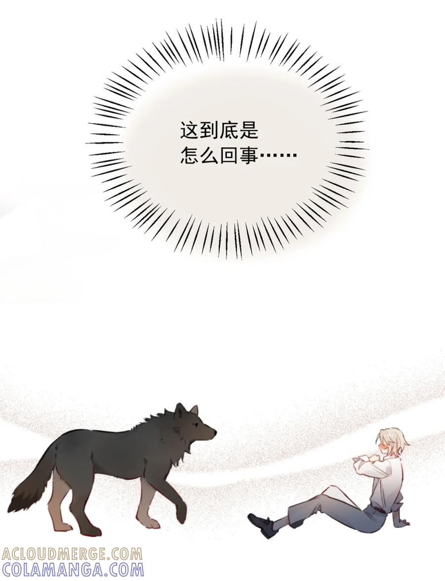 《狼君想对我负责》001 真是让人恶心的发情。 第34页