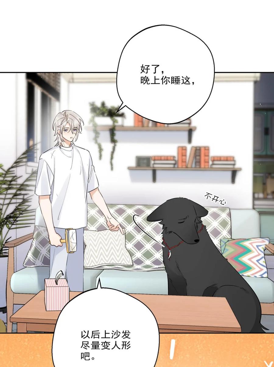 《狼君想对我负责》010 不要用枪顶我的屁股。 第15页