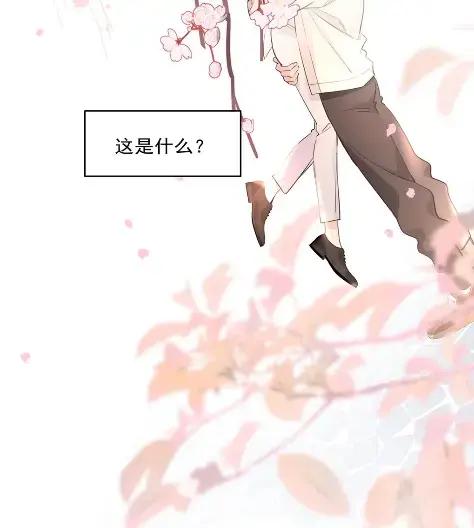 《狼君想对我负责》014 我只是失忆了。 第6页