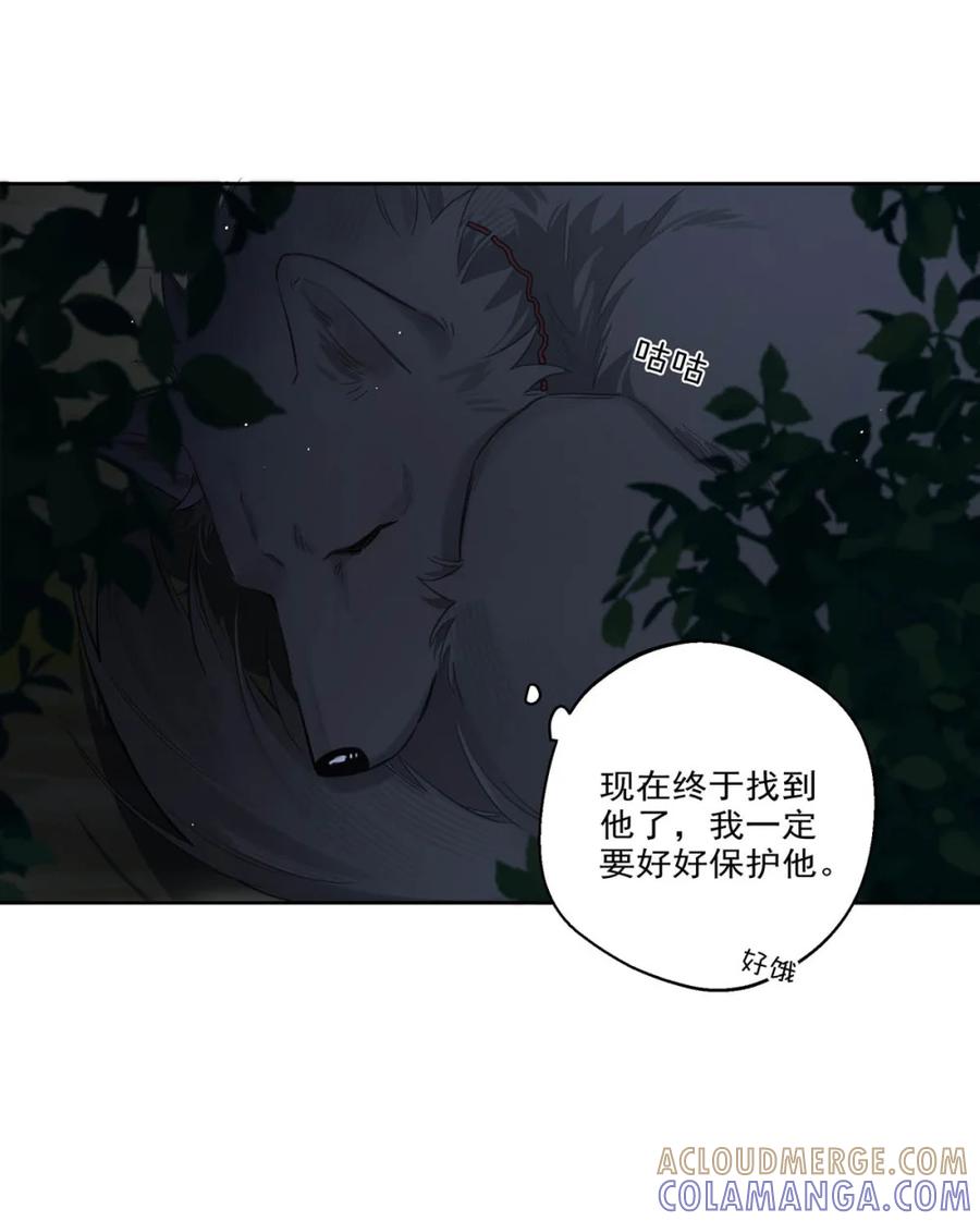 《狼君想对我负责》002 是梦里的那个人？ 第61页