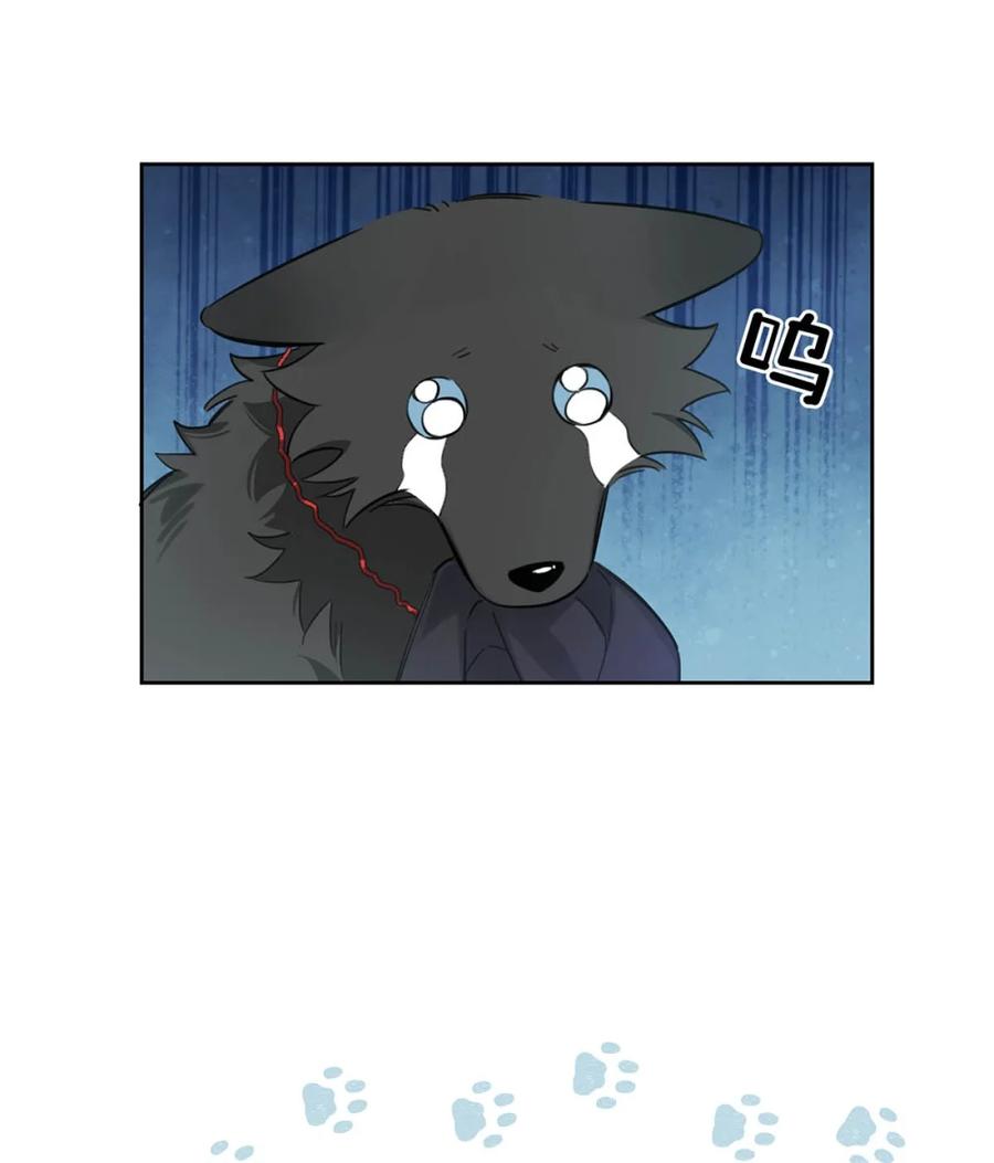 《狼君想对我负责》002 是梦里的那个人？ 第41页