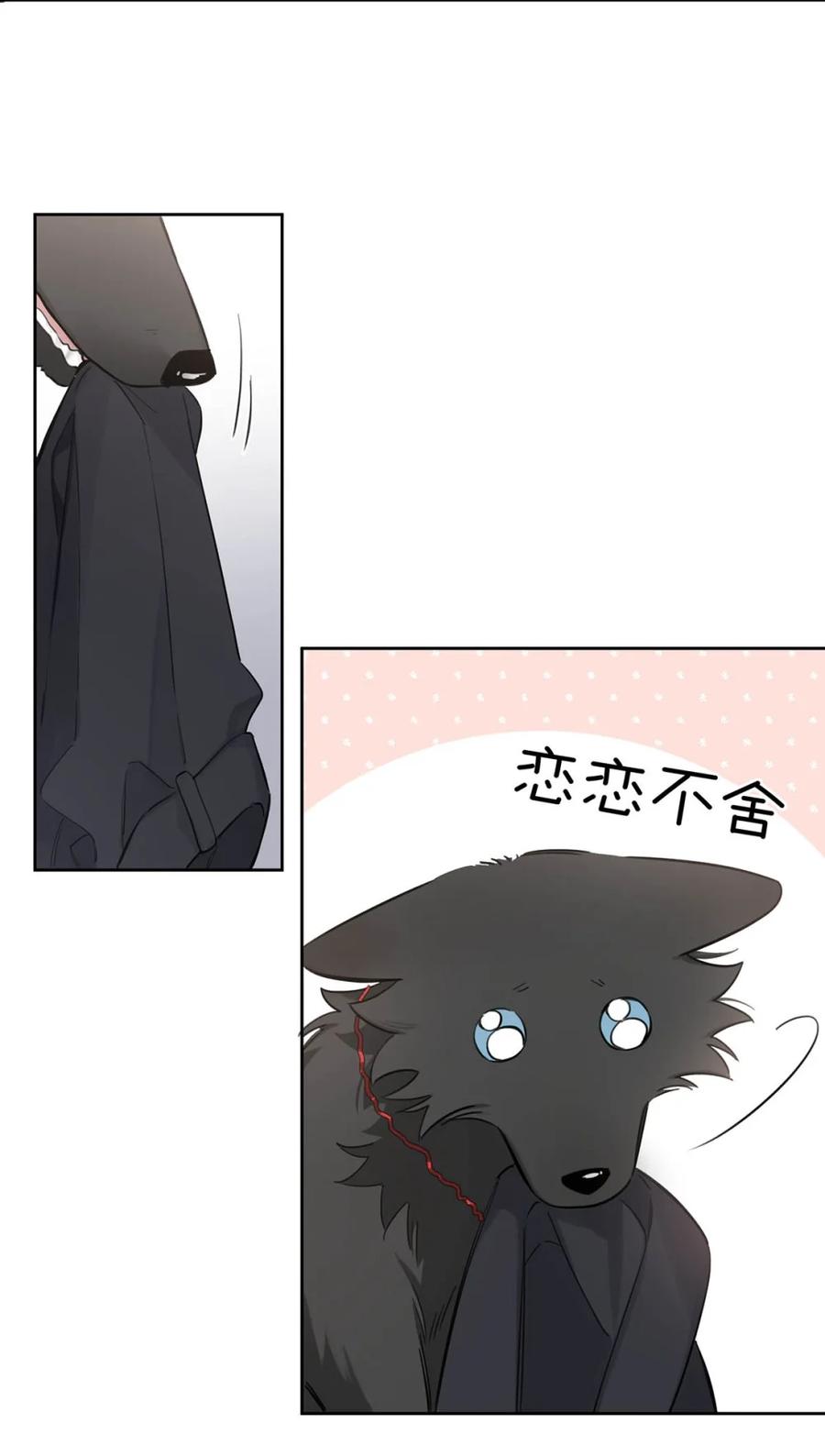 《狼君想对我负责》002 是梦里的那个人？ 第38页