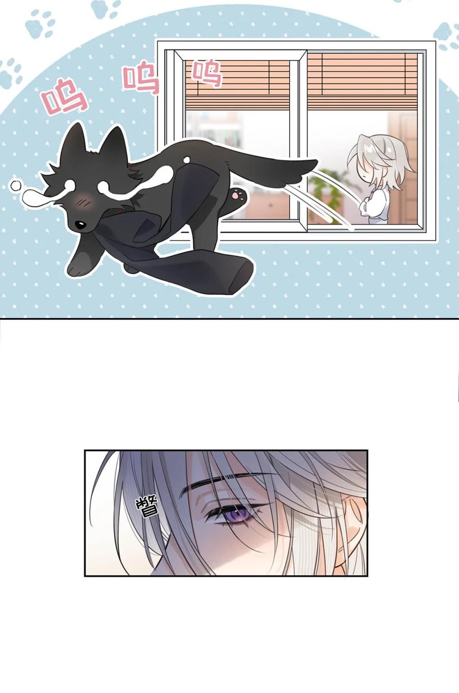 《狼君想对我负责》002 是梦里的那个人？ 第42页