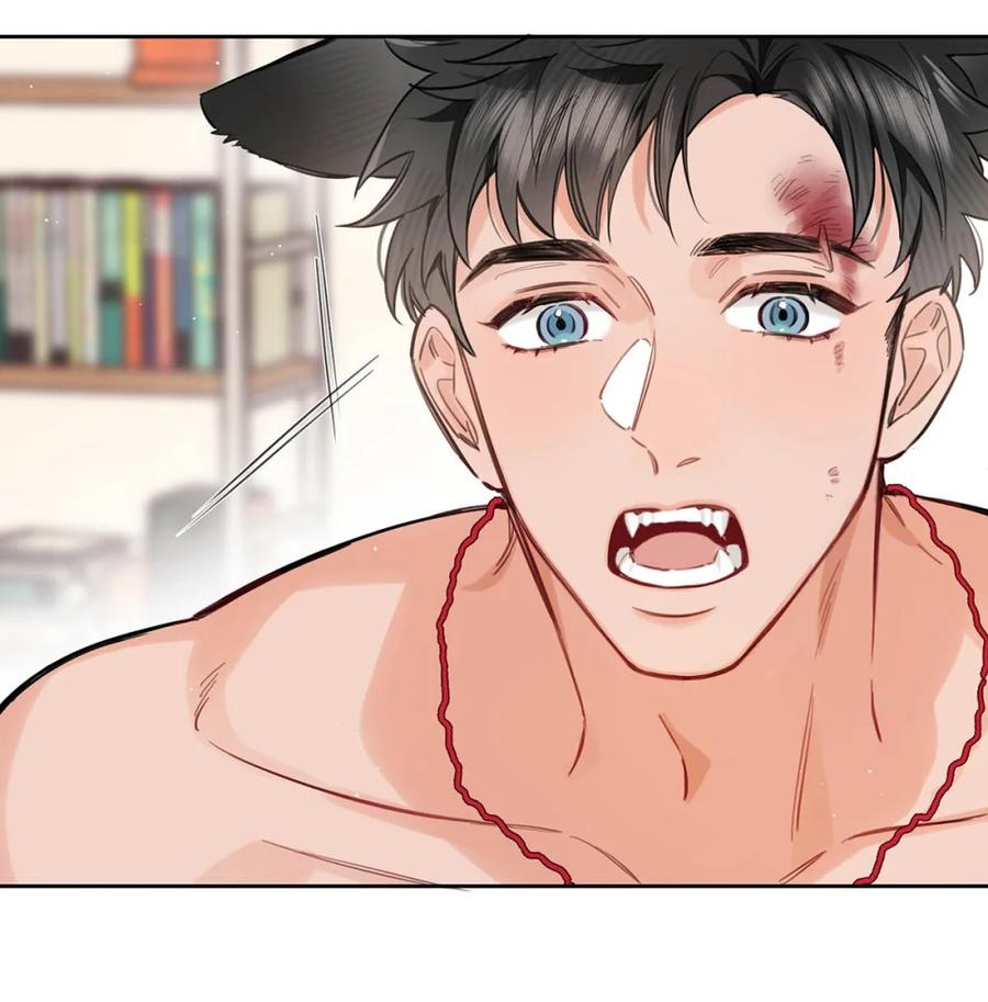 《狼君想对我负责》002 是梦里的那个人？ 第18页