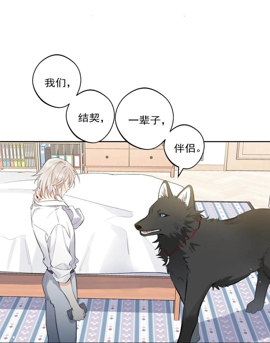 《狼君想对我负责》002 是梦里的那个人？ 第29页
