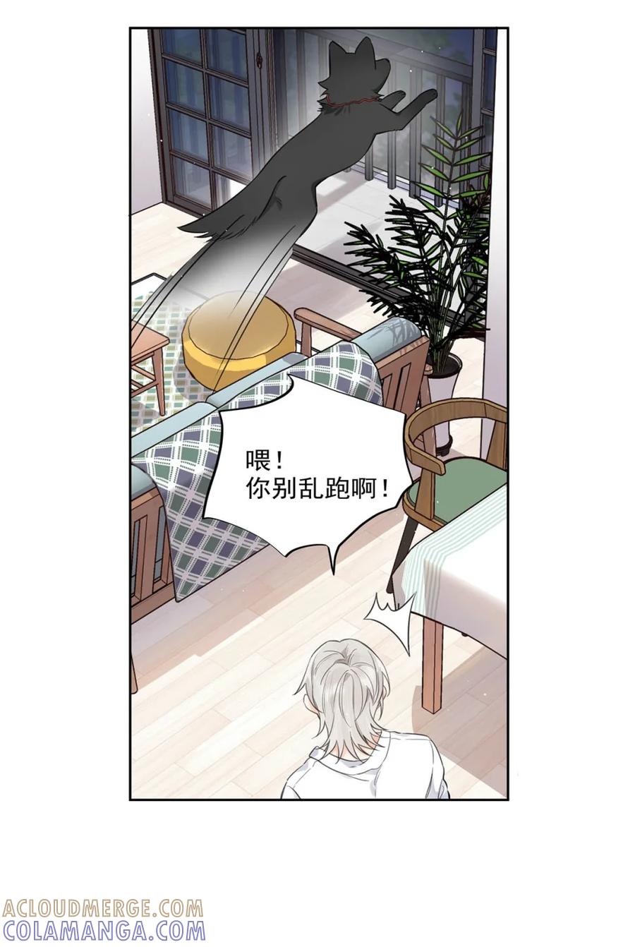 《狼君想对我负责》003 那种感觉……又来了。 第37页