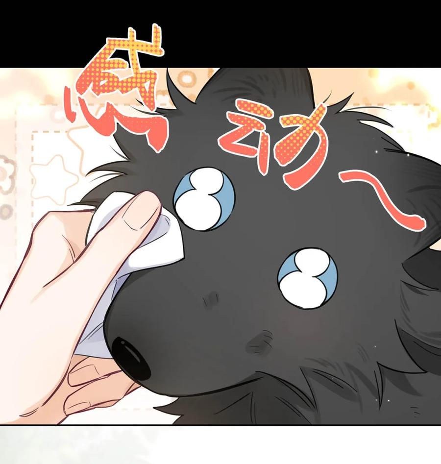 《狼君想对我负责》006 真的能变回正常人吗？ 第12页