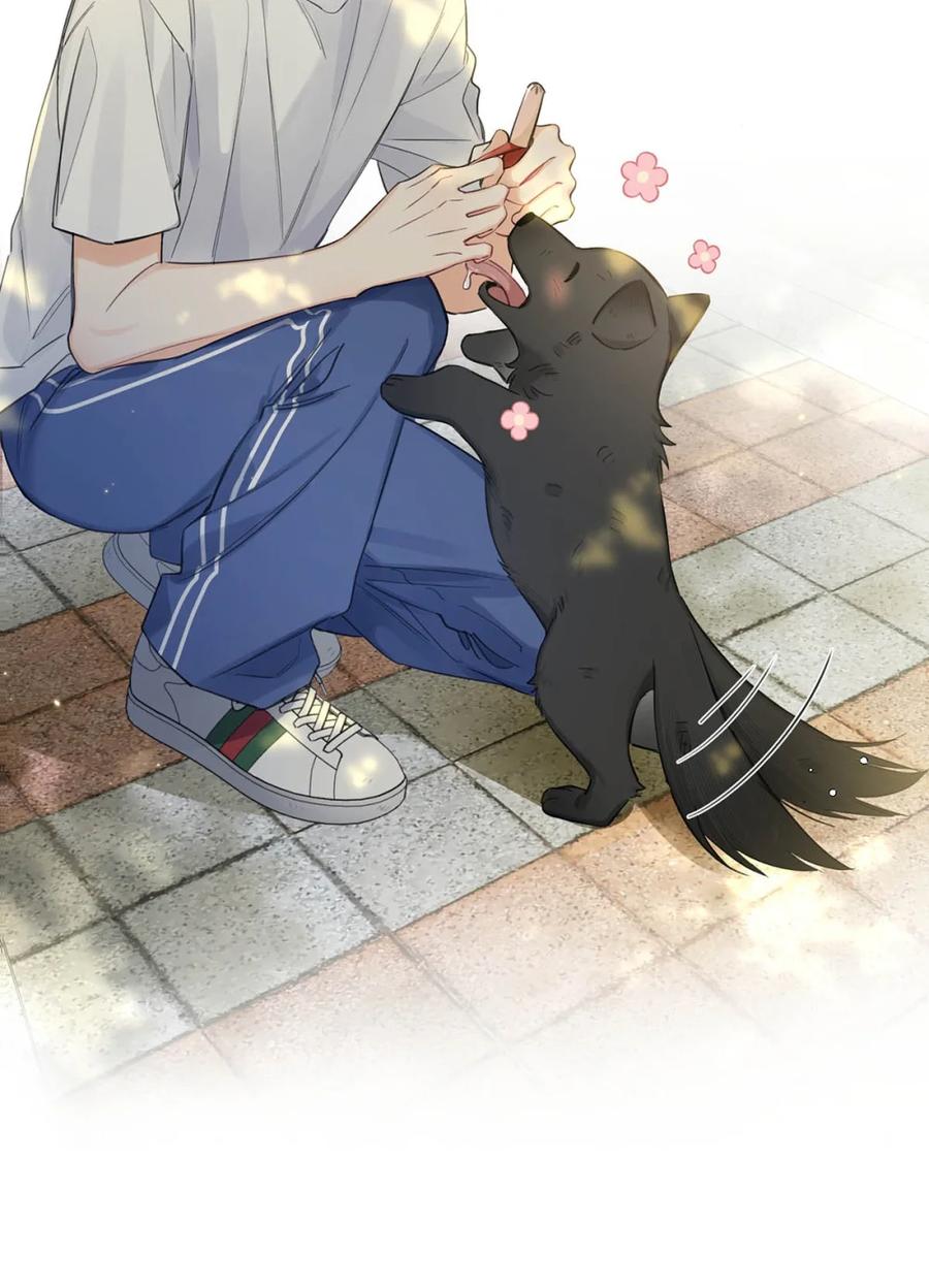 《狼君想对我负责》006 真的能变回正常人吗？ 第8页