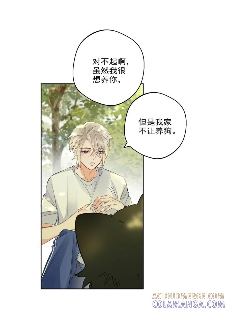 《狼君想对我负责》006 真的能变回正常人吗？ 第10页