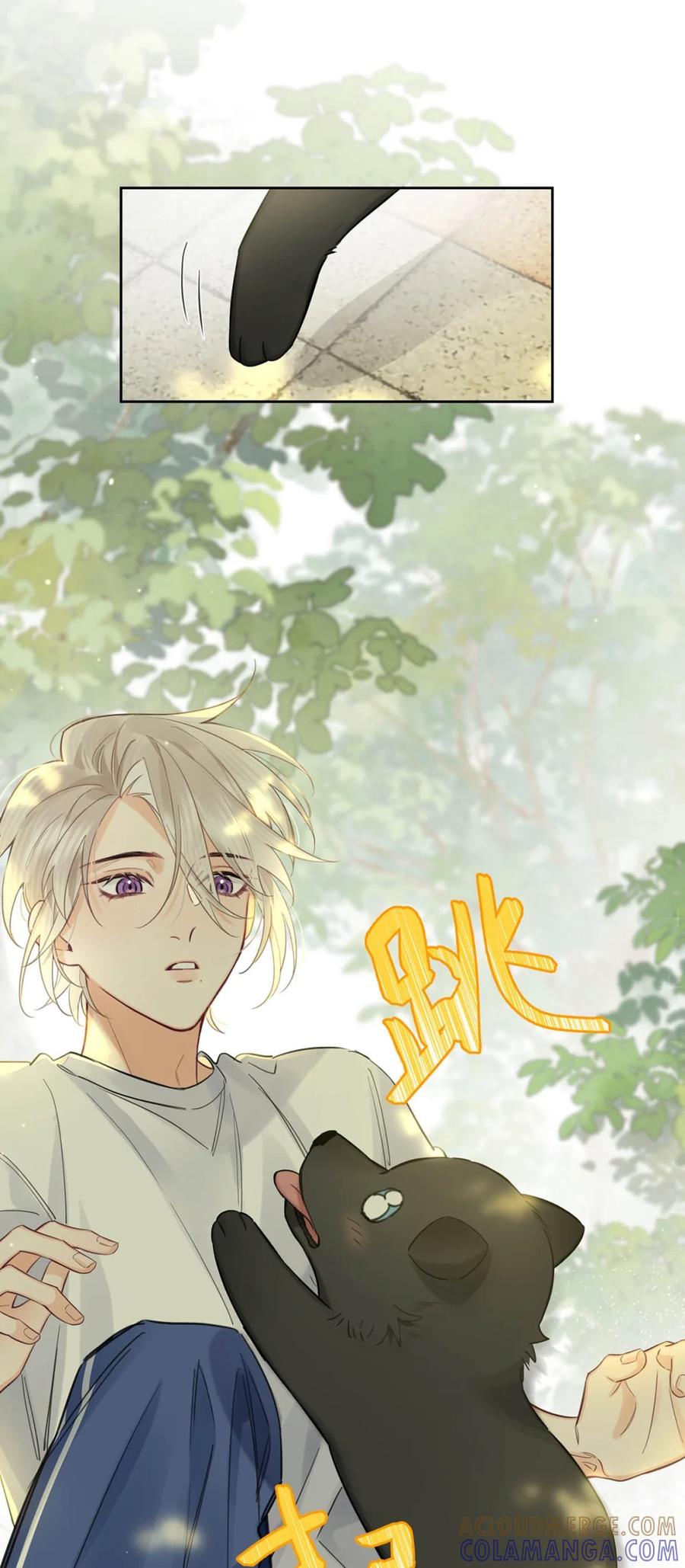 《狼君想对我负责》006 真的能变回正常人吗？ 第13页