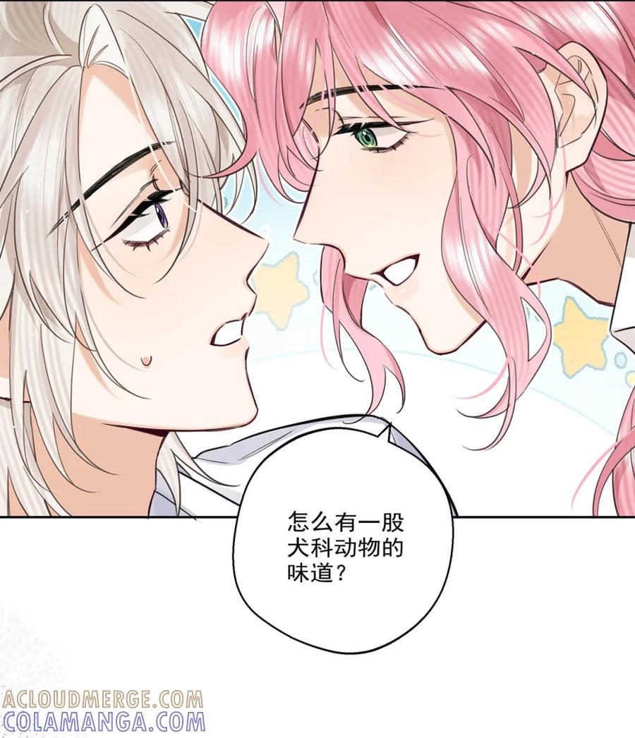 《狼君想对我负责》006 真的能变回正常人吗？ 第49页