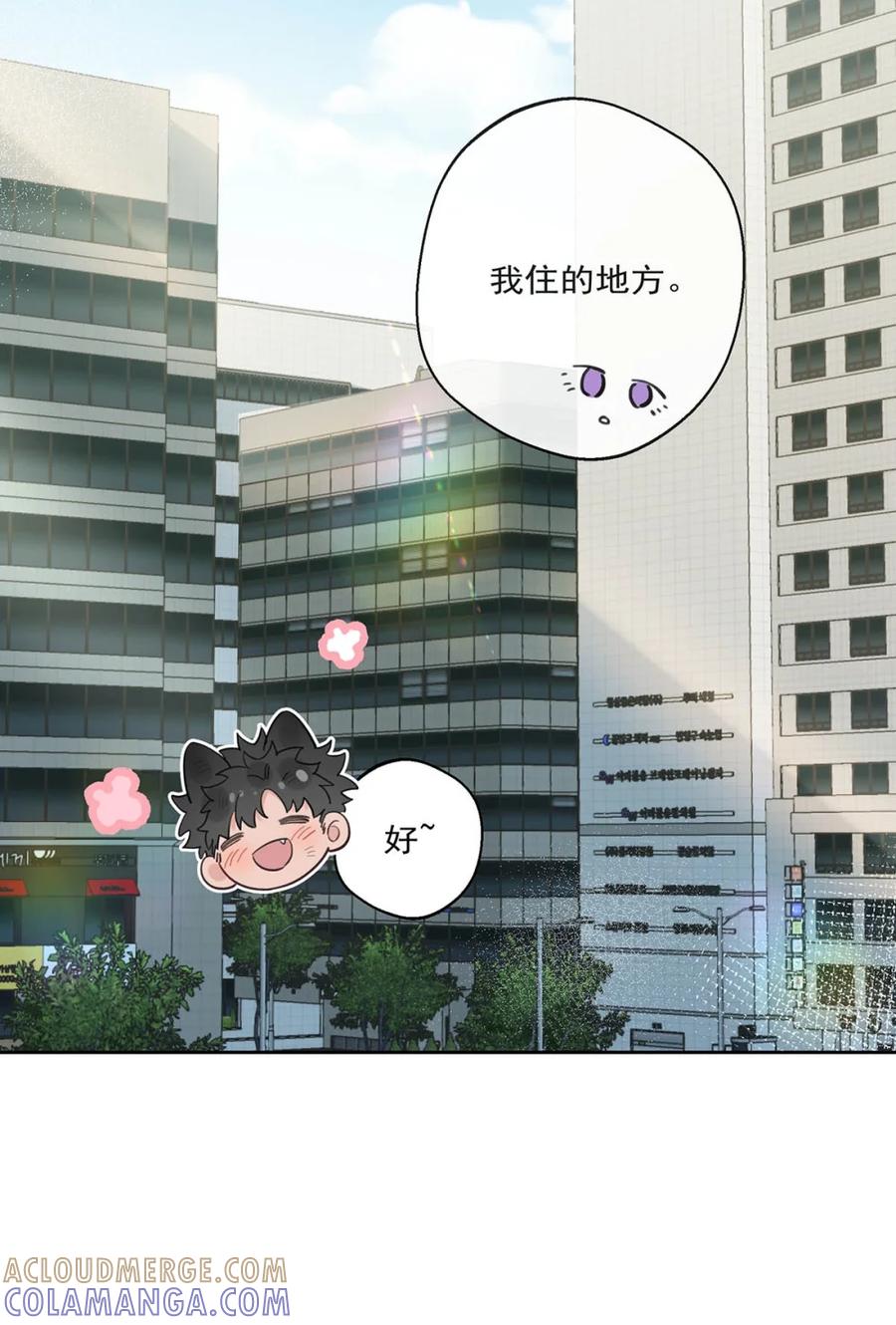 《狼君想对我负责》008 老公先吃~~ 第37页