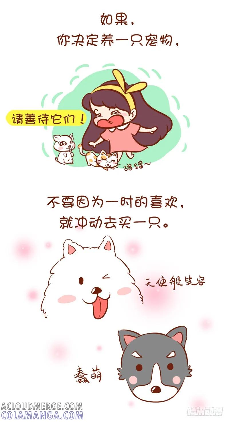 木木子漫画 请陪伴喵喵汪汪们 第5页