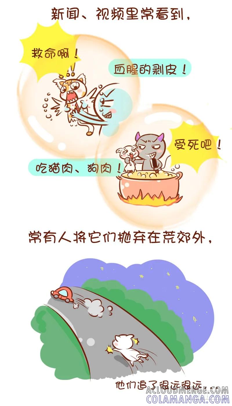 木木子漫画 请陪伴喵喵汪汪们 第4页