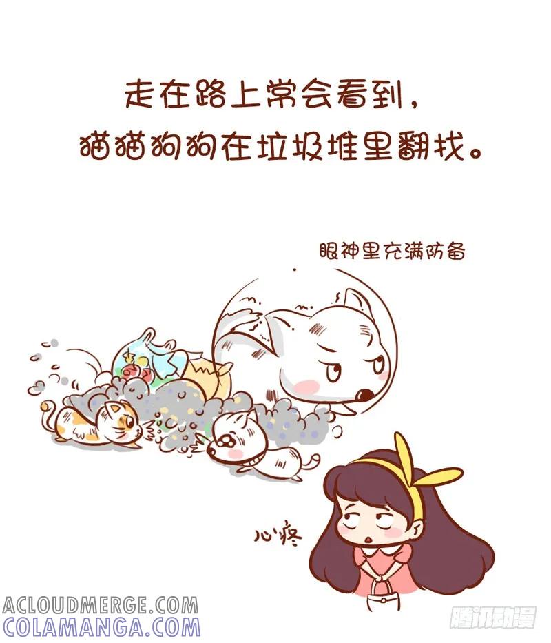 木木子漫画 请陪伴喵喵汪汪们 第2页