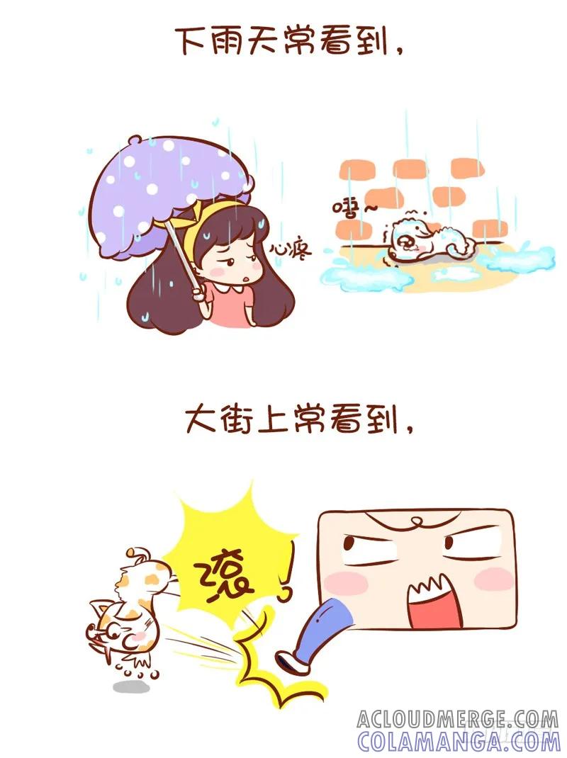 木木子漫画 请陪伴喵喵汪汪们 第3页