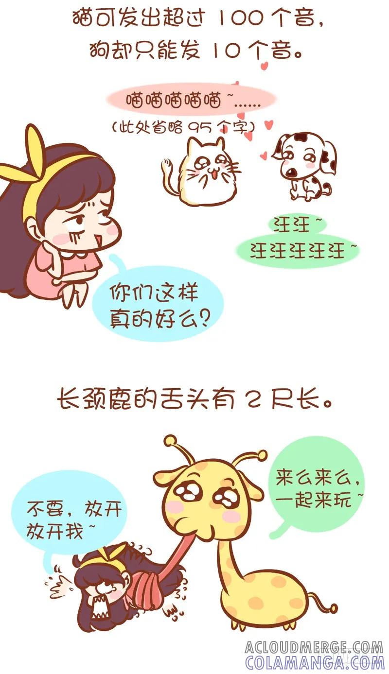 木木子漫画 我的蠢萌，你懂吗？ 第3页