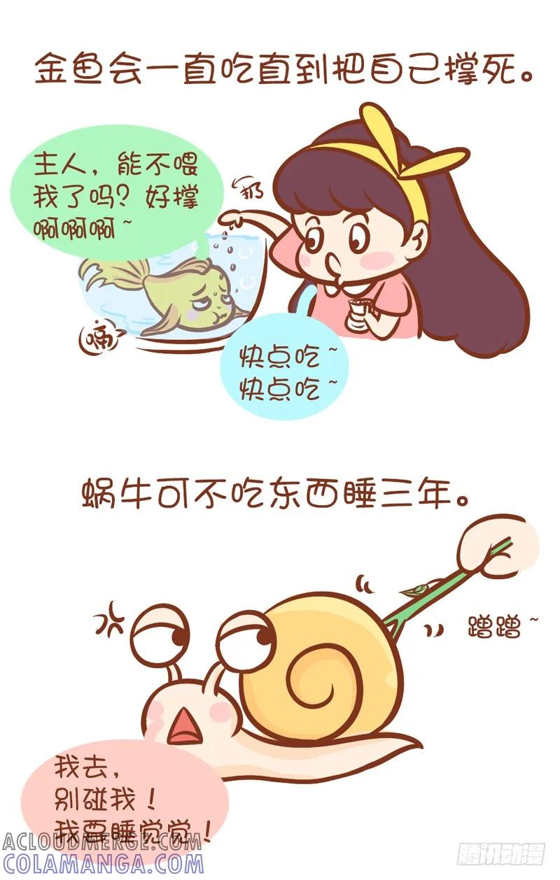 木木子漫画 我的蠢萌，你懂吗？ 第2页