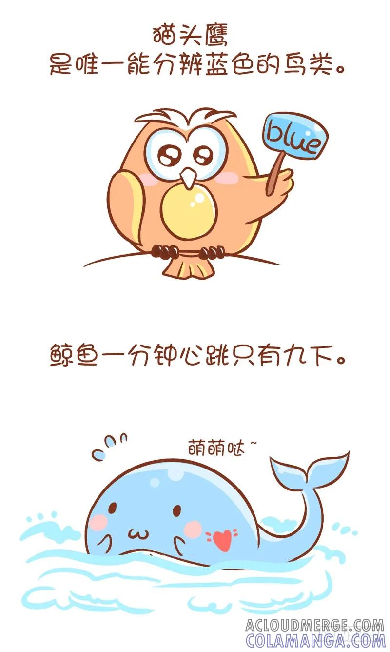 木木子漫画 我的蠢萌，你懂吗？ 第5页