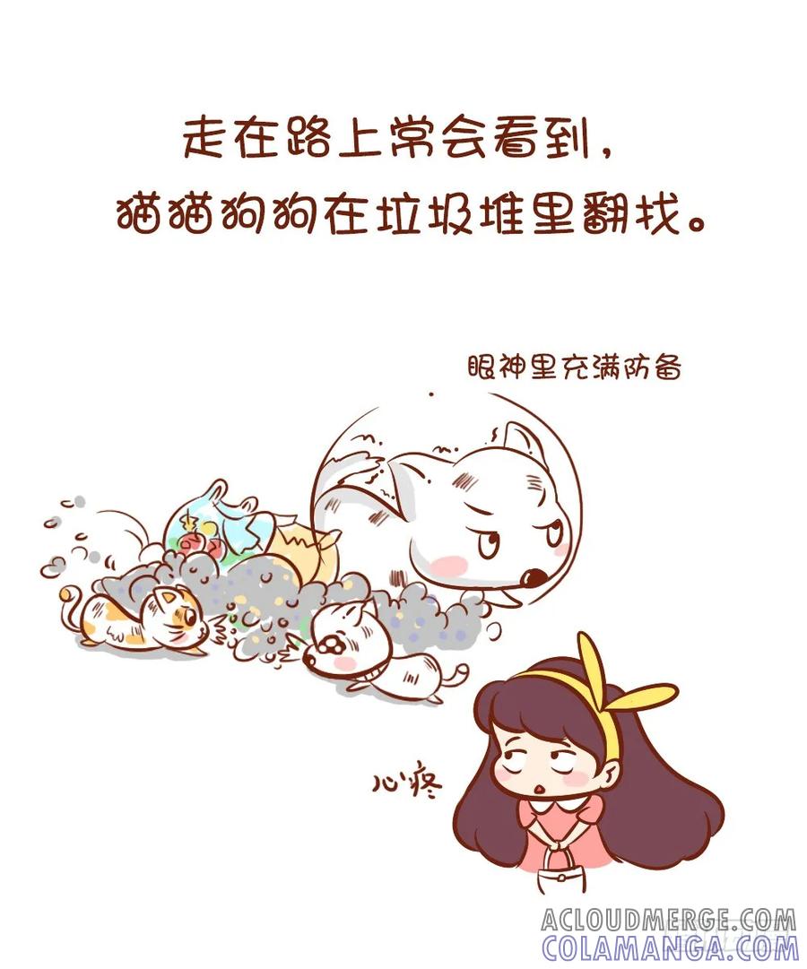 木木子漫画 请爱护喵喵汪汪们 第2页