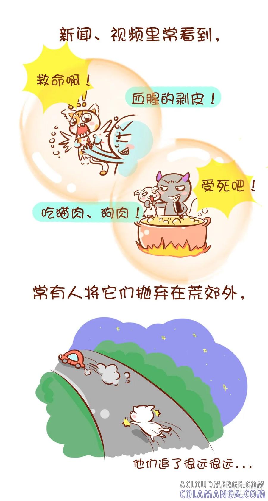 木木子漫画 请爱护喵喵汪汪们 第4页