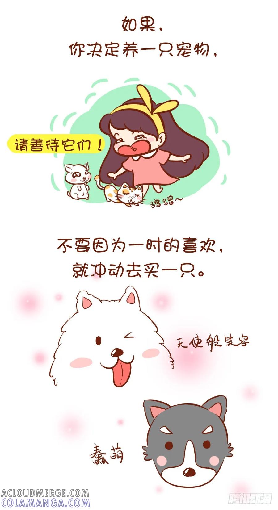 木木子漫画 请爱护喵喵汪汪们 第5页