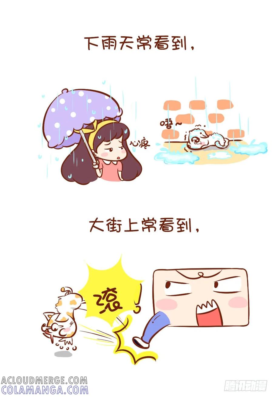 木木子漫画 请爱护喵喵汪汪们 第3页
