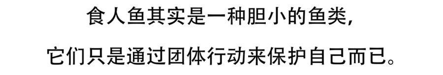《胖达x胖达》第87话 第22页