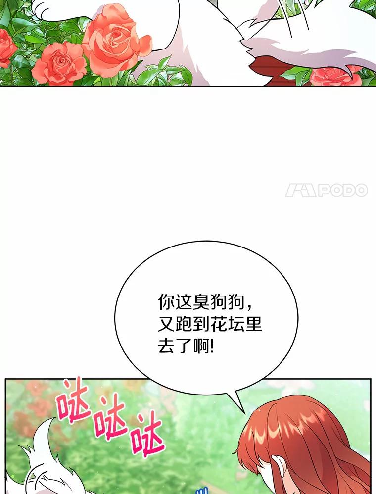 《狼犬男主的驯养师》9.她居然还活着 第11页
