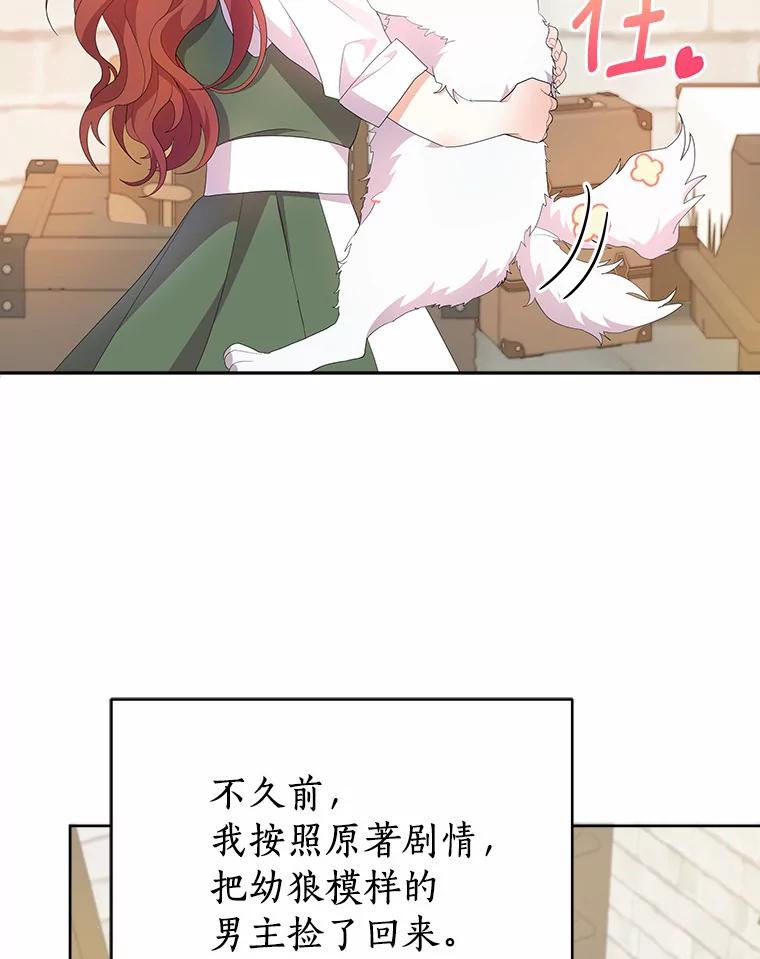《狼犬男主的驯养师》1.看我怎么驯服你 第90页
