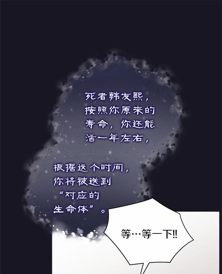 《狼犬男主的驯养师》1.看我怎么驯服你 第40页