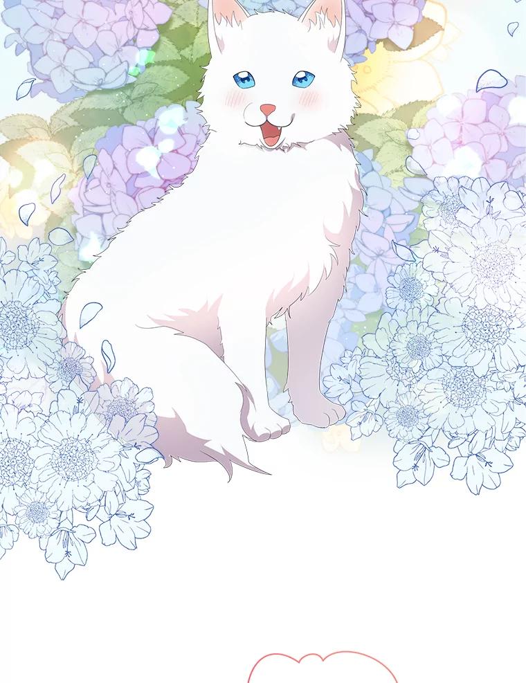 《狼犬男主的驯养师》1.看我怎么驯服你 第87页