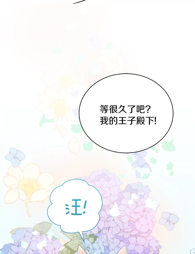 《狼犬男主的驯养师》1.看我怎么驯服你 第86页