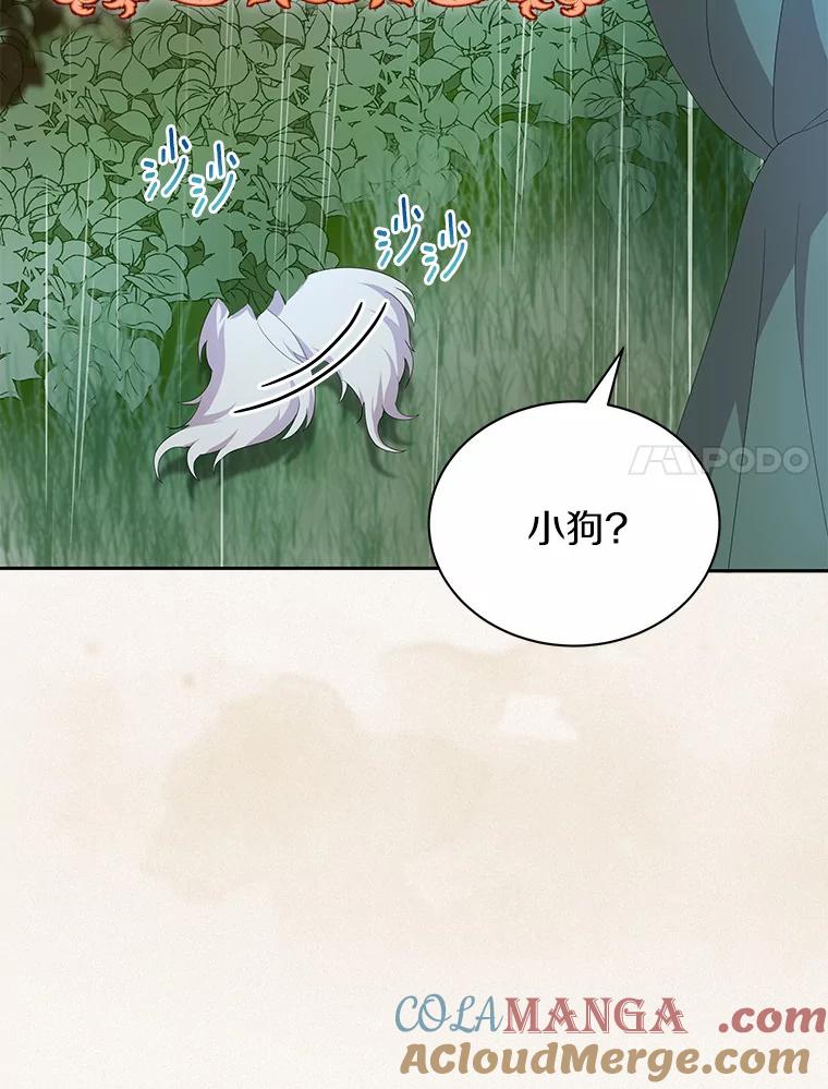 《狼犬男主的驯养师》1.看我怎么驯服你 第69页