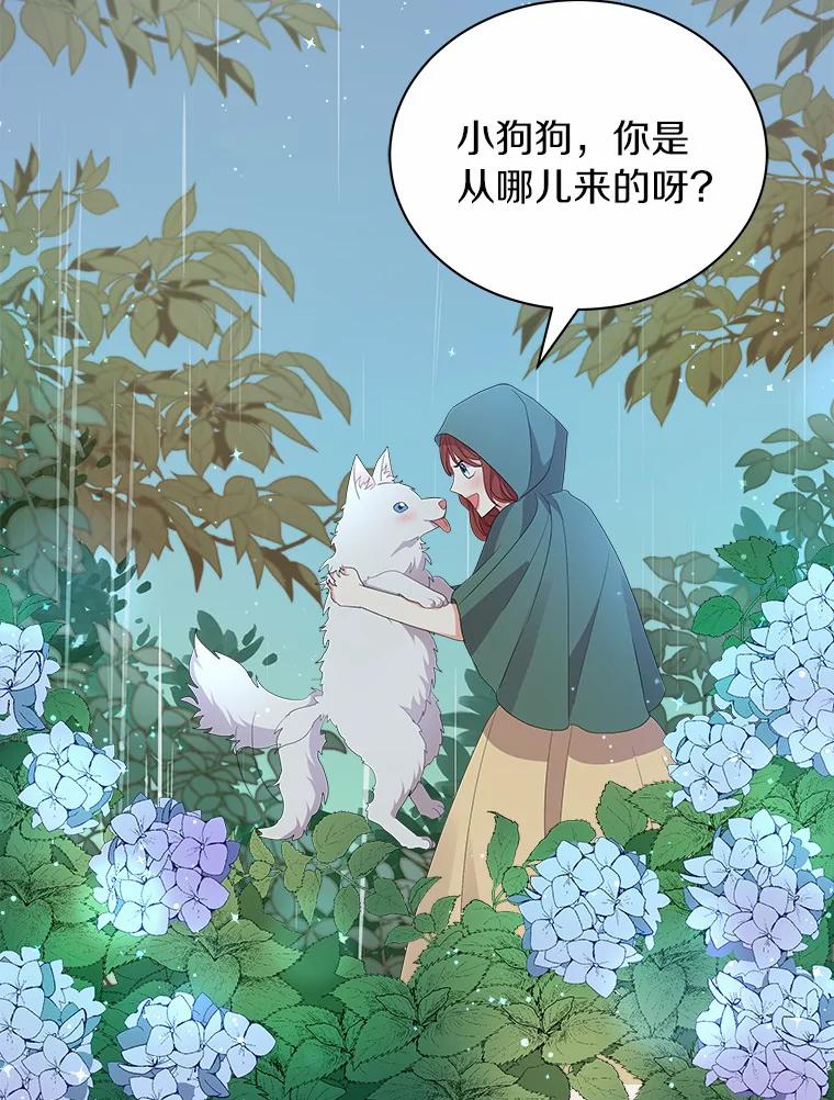 《狼犬男主的驯养师》1.看我怎么驯服你 第71页
