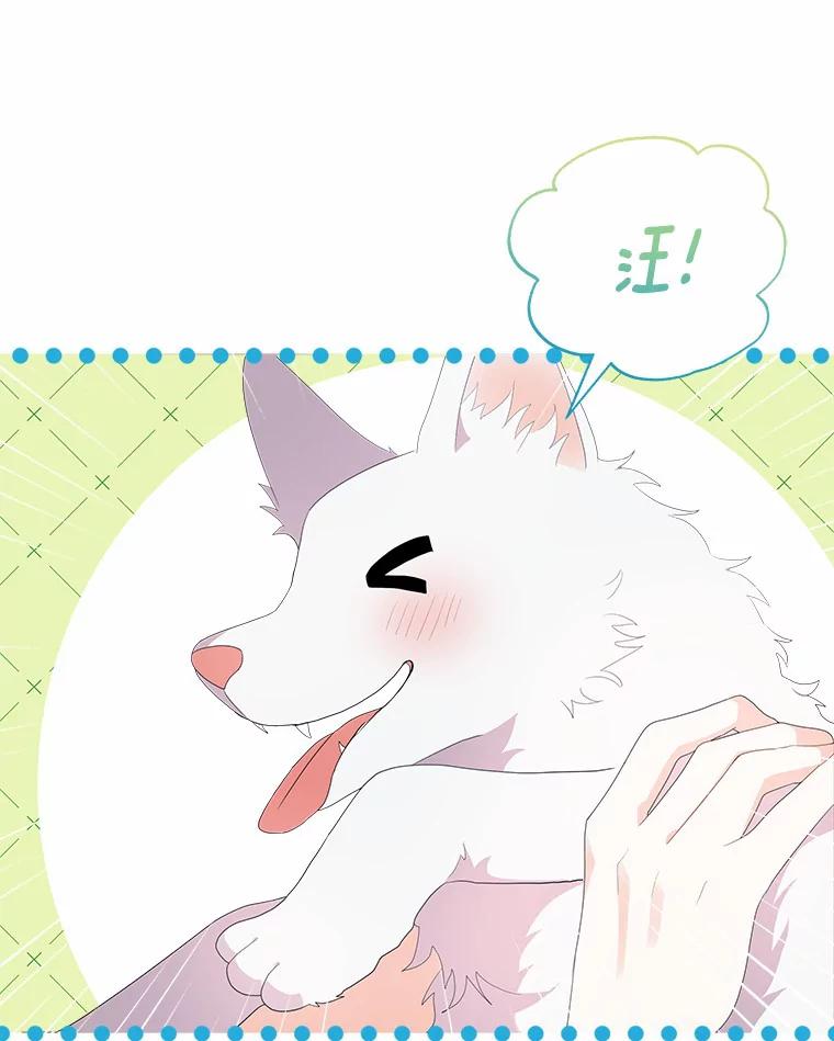 《狼犬男主的驯养师》1.看我怎么驯服你 第98页