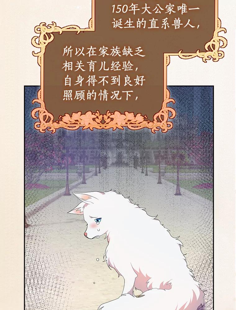 《狼犬男主的驯养师》1.看我怎么驯服你 第67页