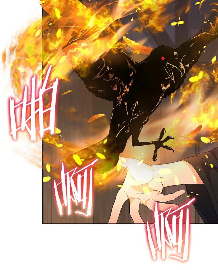 《狼犬男主的驯养师》2.他们终于找来了 第100页