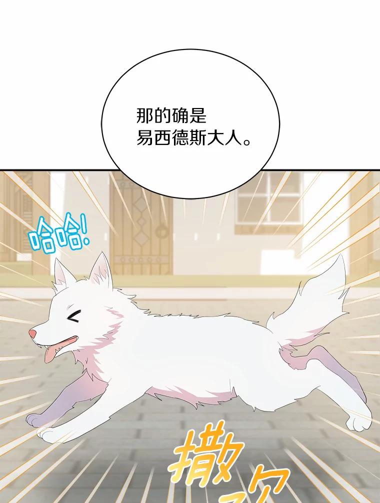 《狼犬男主的驯养师》2.他们终于找来了 第46页