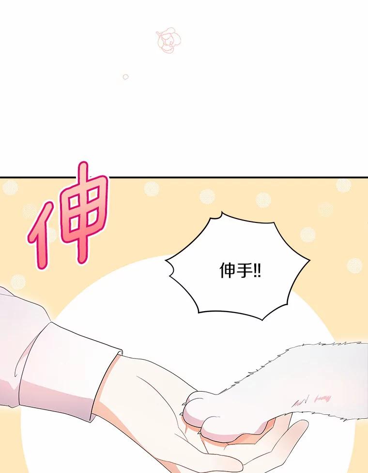 《狼犬男主的驯养师》2.他们终于找来了 第6页