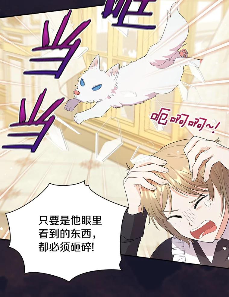 《狼犬男主的驯养师》2.他们终于找来了 第39页