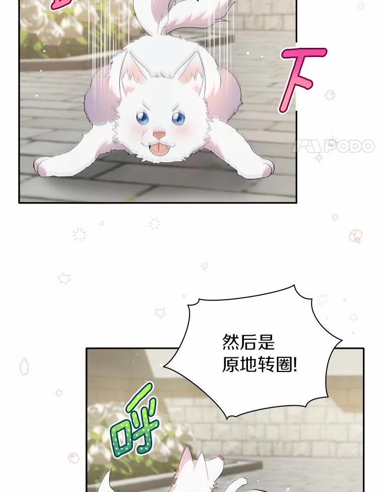 《狼犬男主的驯养师》2.他们终于找来了 第4页