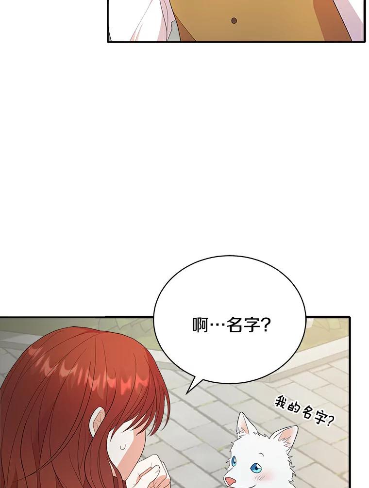 《狼犬男主的驯养师》2.他们终于找来了 第20页