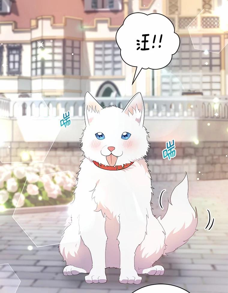 《狼犬男主的驯养师》2.他们终于找来了 第2页