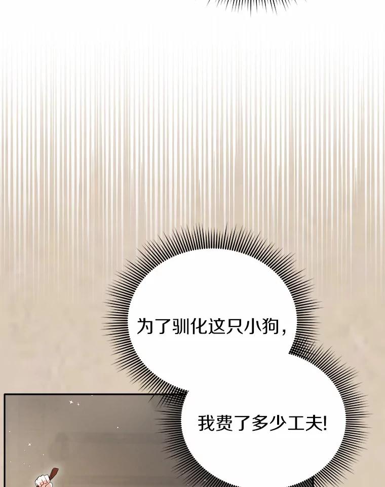 《狼犬男主的驯养师》2.他们终于找来了 第15页