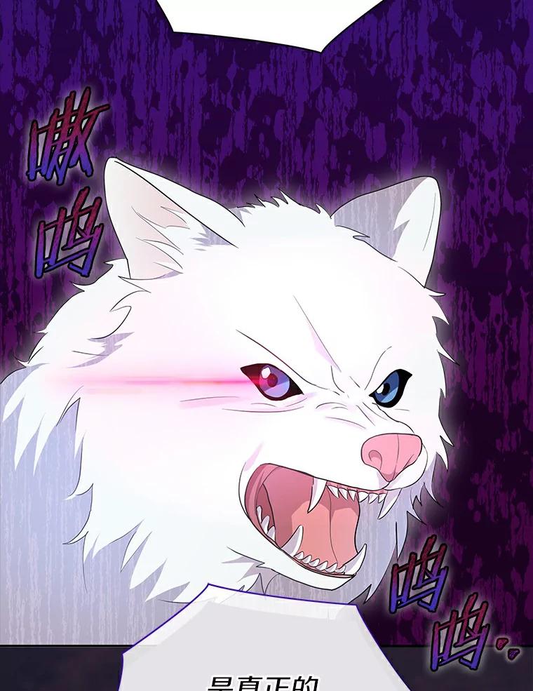 《狼犬男主的驯养师》2.他们终于找来了 第42页