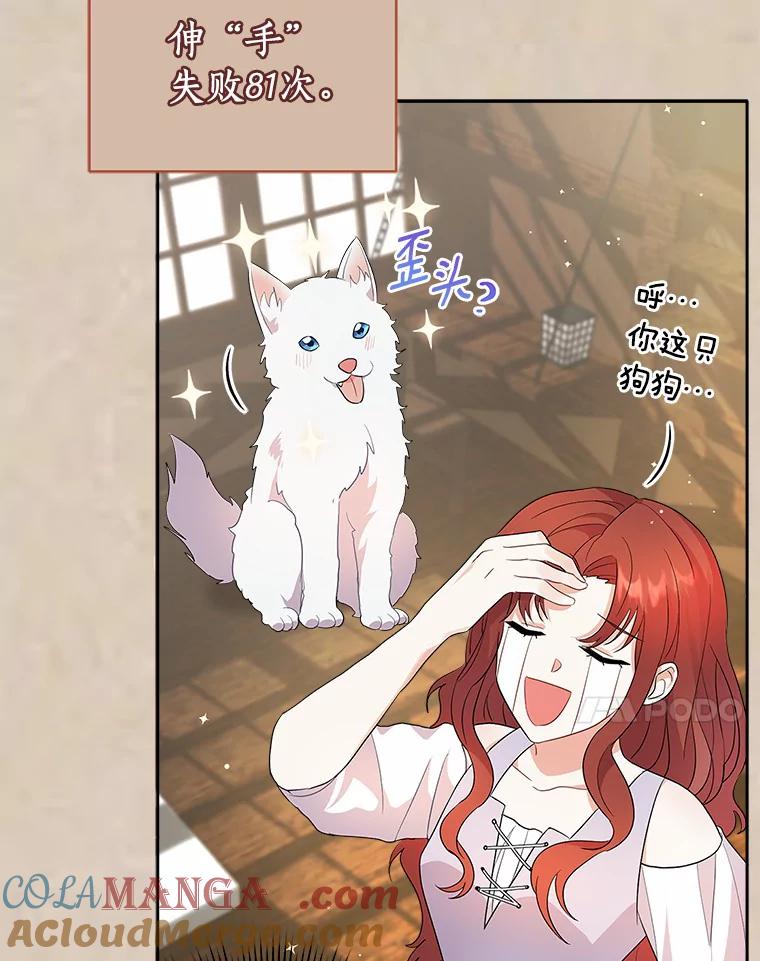 《狼犬男主的驯养师》2.他们终于找来了 第17页