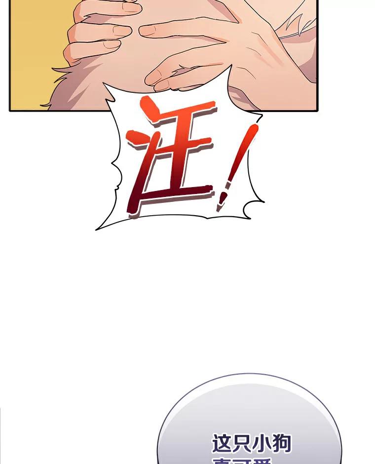 《狼犬男主的驯养师》2.他们终于找来了 第79页