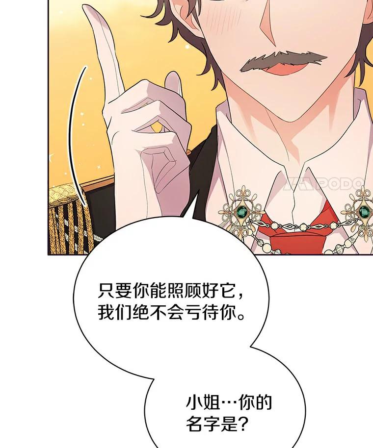 《狼犬男主的驯养师》3.一起去泰尔西翁 第36页